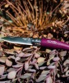 Opinel Inox 3lü Renkli Bahçe Seti