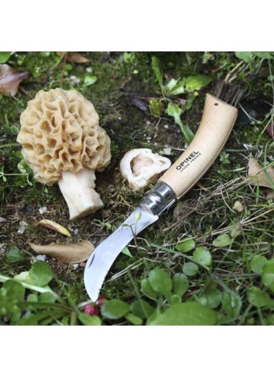 Opinel No 8 Kılıflı Paslanmaz Çelik Mantar Bıçağı